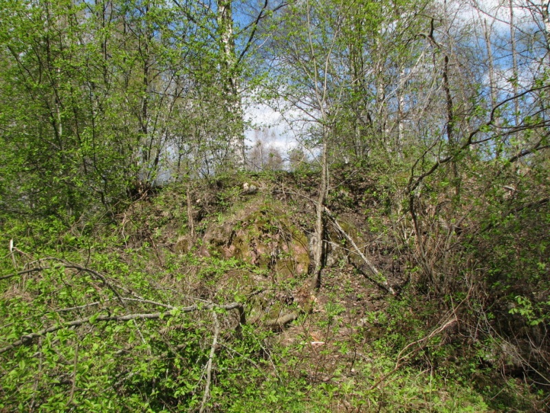 Файл:South rov.JPG